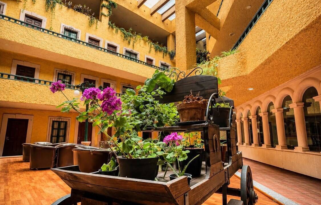 Photo of Outdoor in Zacatecas Centro