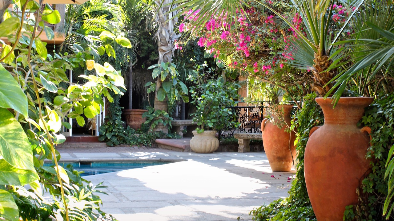 Photo of Outdoor in Pedregal