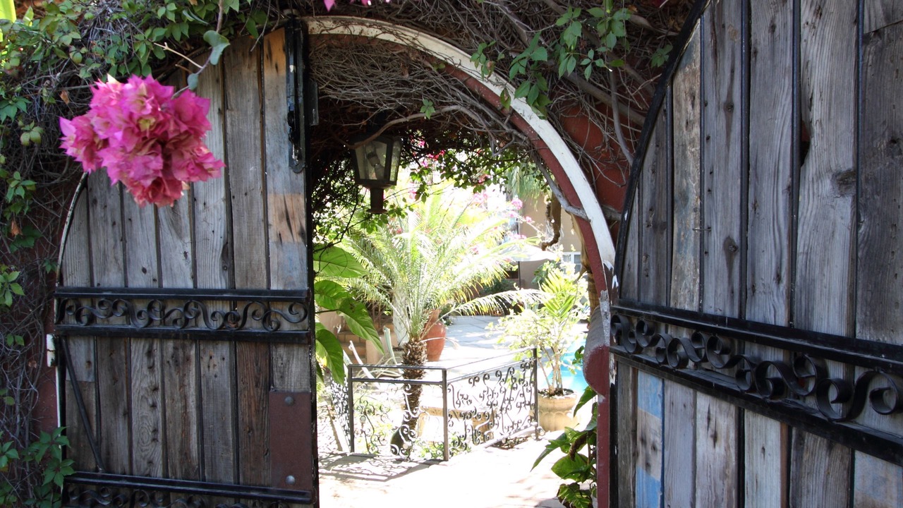 Photo of Outdoor in Pedregal