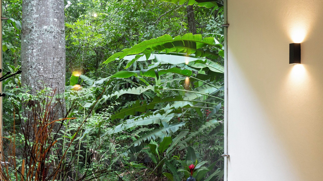 Photo of Others in Palenque