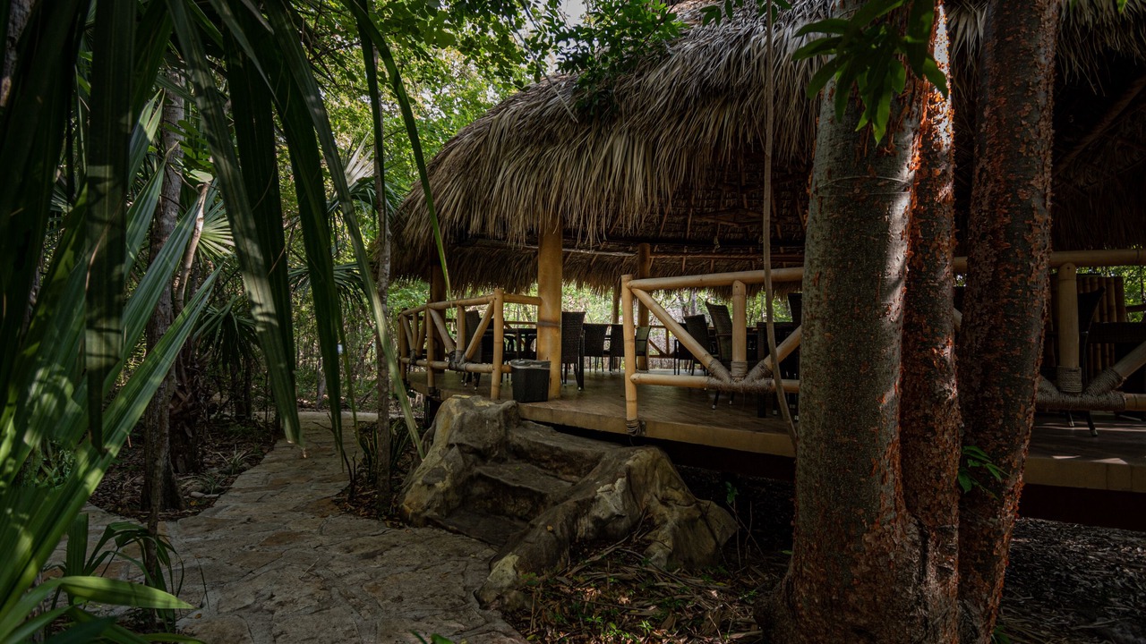 Photo of Others in La Huasteca