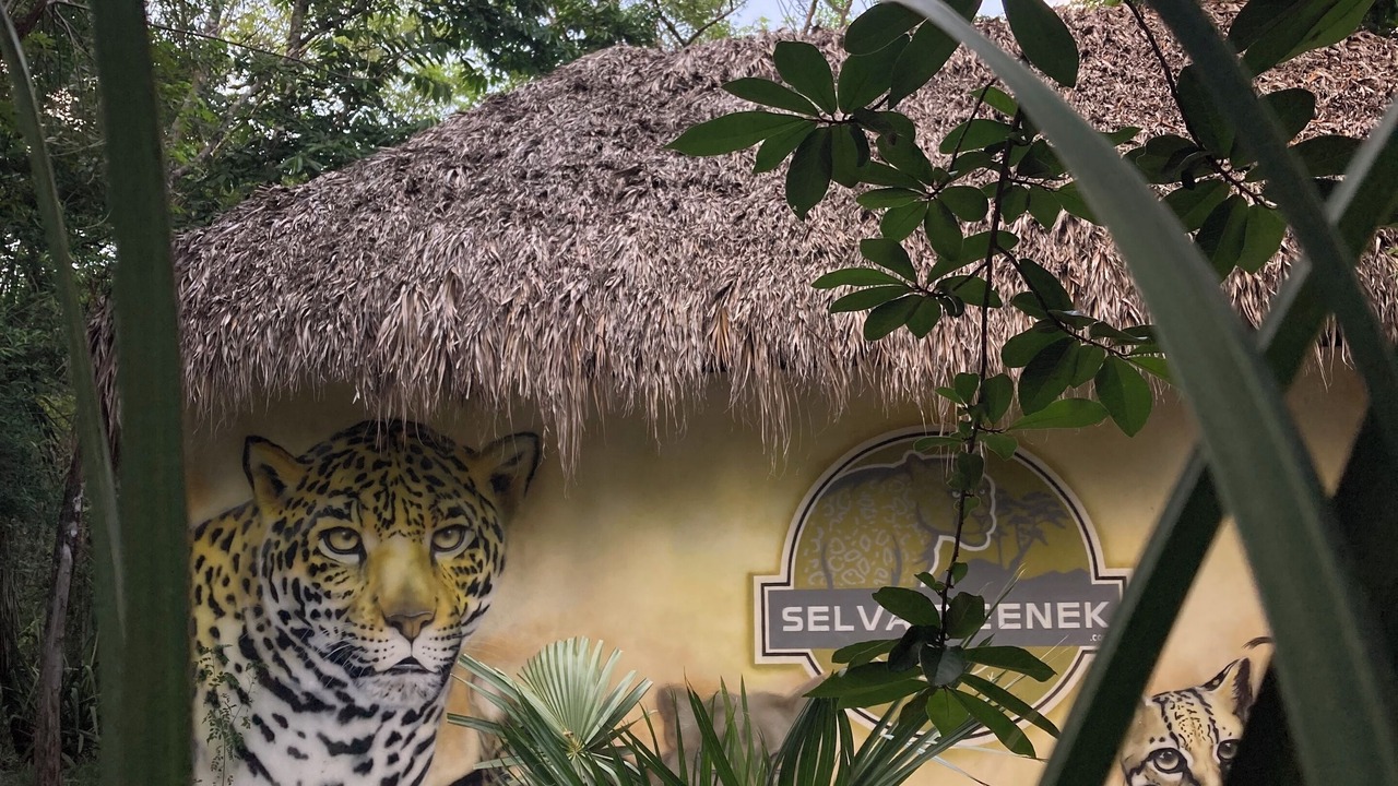 Photo of Outdoor in La Huasteca