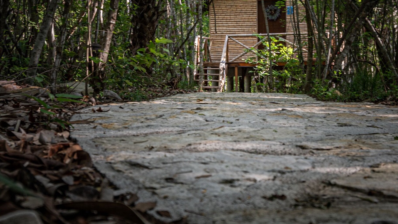 Photo of Bedroom in La Huasteca