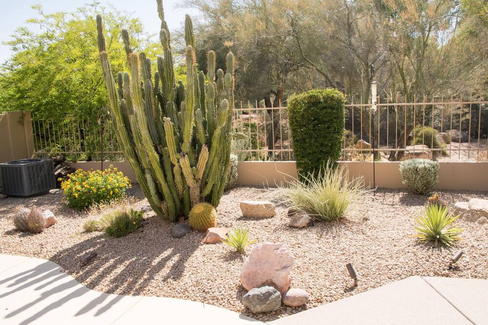 Photo of Others in Fountain Hills