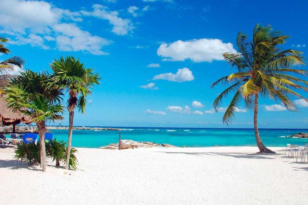 Photo of Others in Akumal