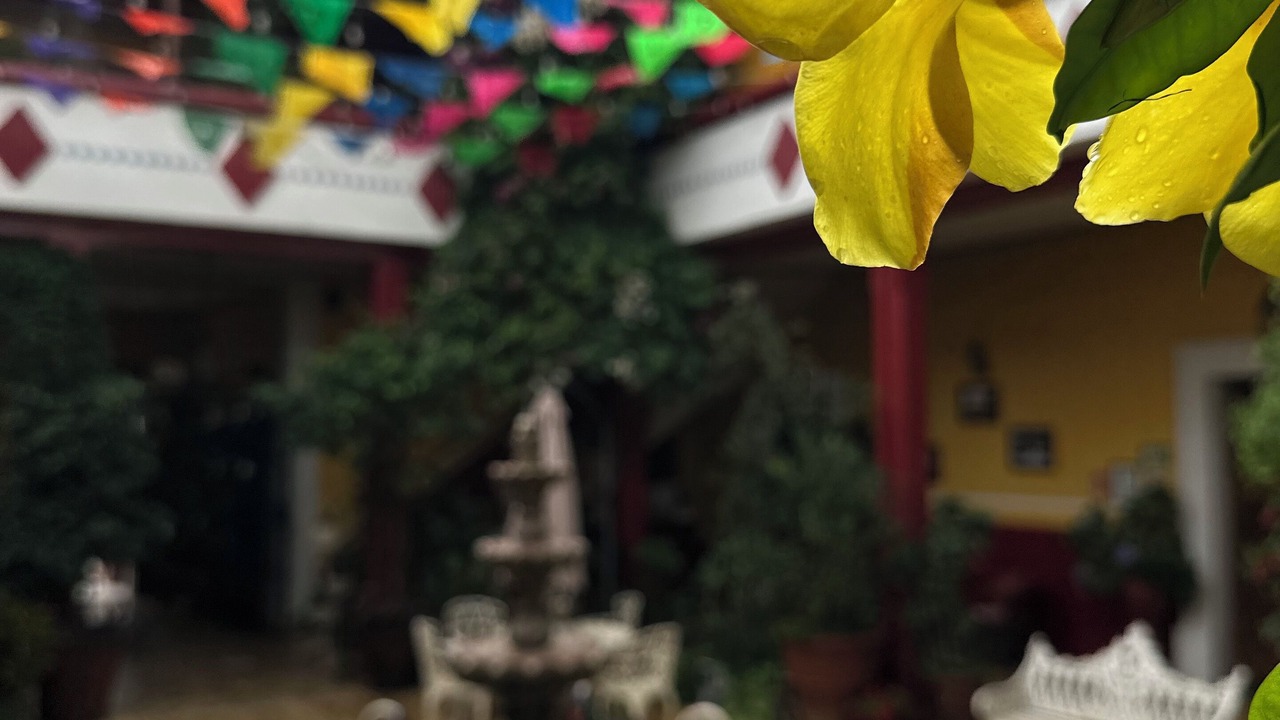Photo of Outdoor in Mascota