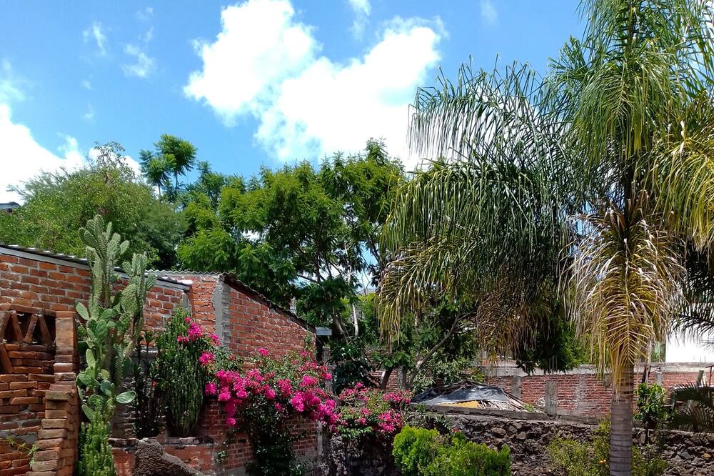 Photo of Outdoor in Camecuaro