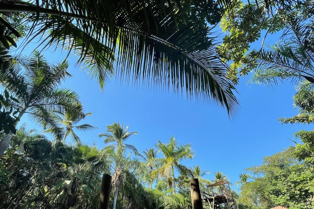 Photo of Outdoor in Boulevard Barra Vieja