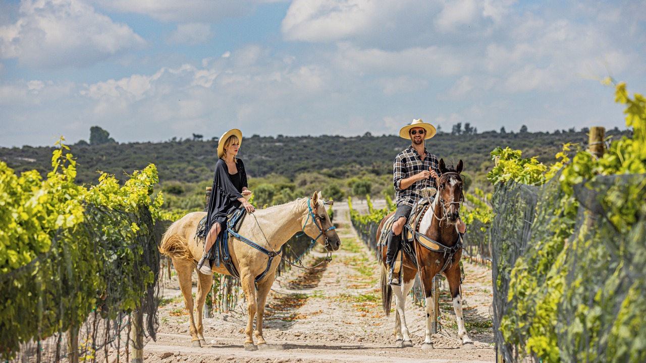Photo of Others in Mineral de Pozos