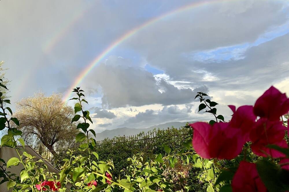 Photo of Outdoor in Rancho Vistoso