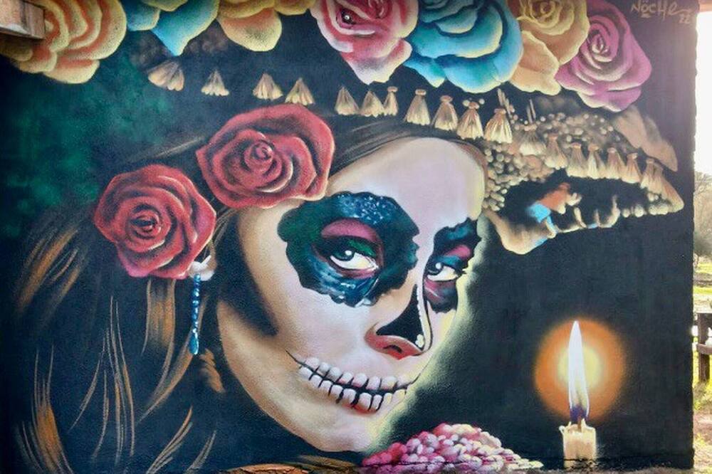 Photo of Others in Valle de Guadalupe