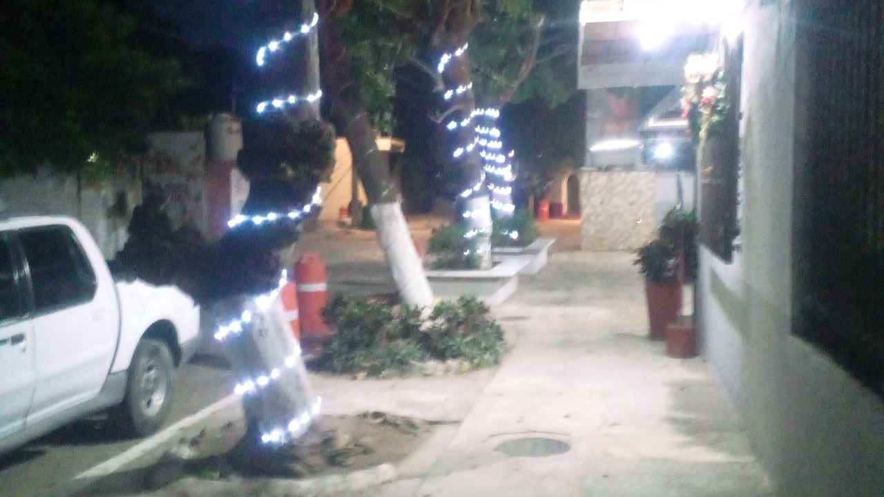 Photo of Outdoor in Los Ayala