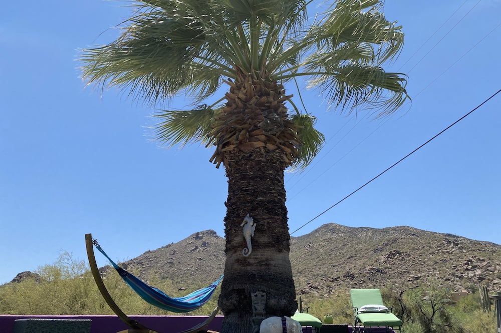 Photo of Others in Cave Creek