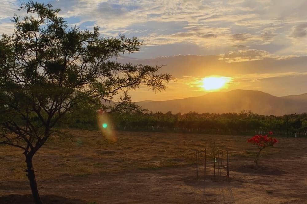 Photo of Outdoor in Valle de Guadalupe