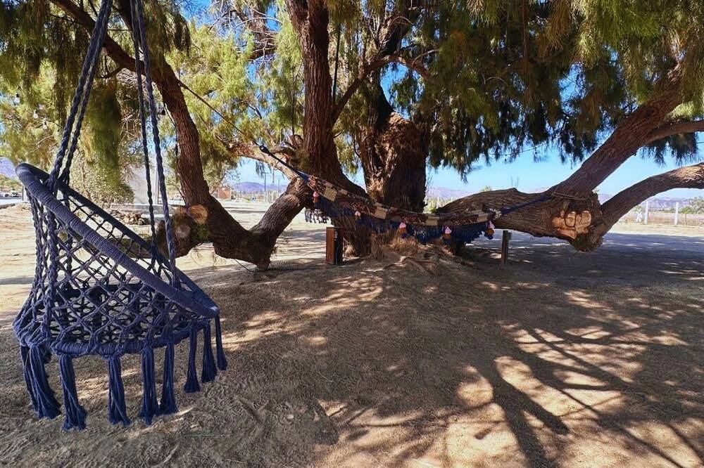 Photo of Others in Valle de Guadalupe