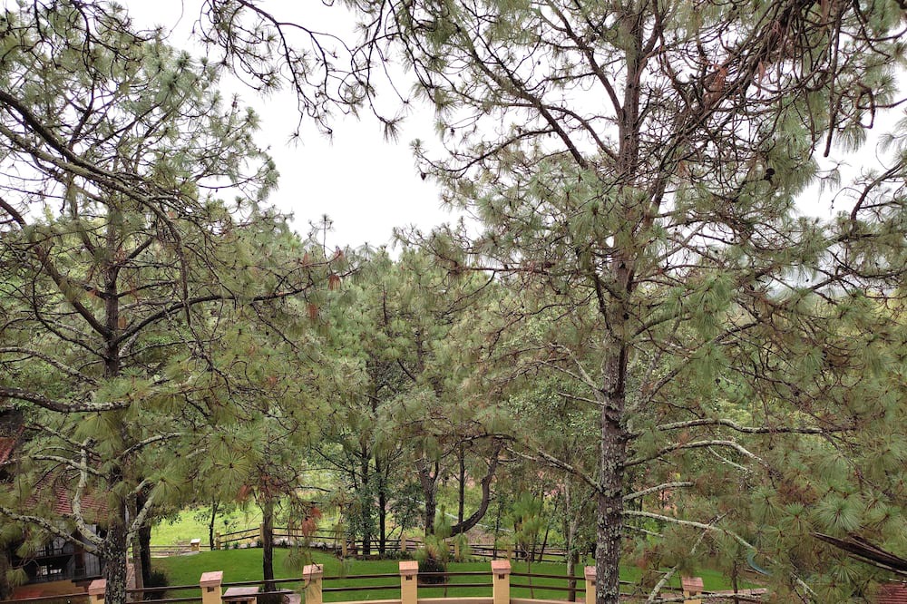 Photo of Outdoor in Mazamitla