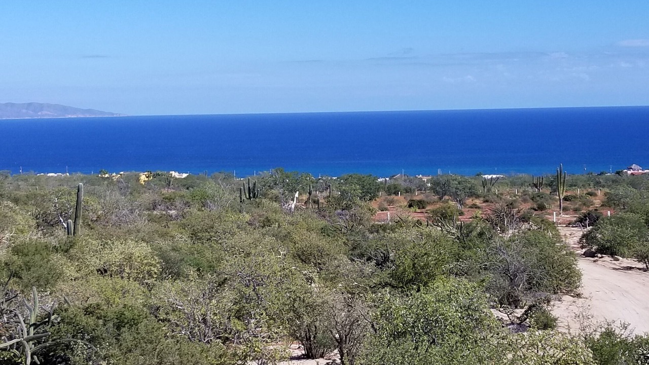 Photo of Others in La Ventana
