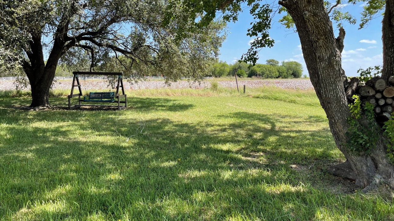 Photo of Outdoor in Harlingen