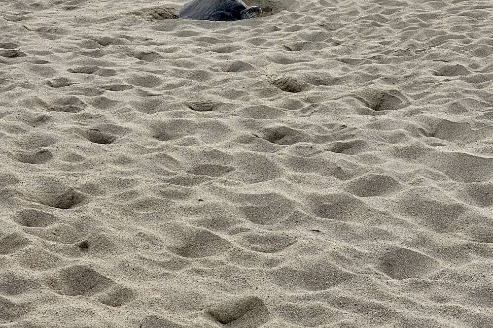 Photo of Others in Santa Rosa