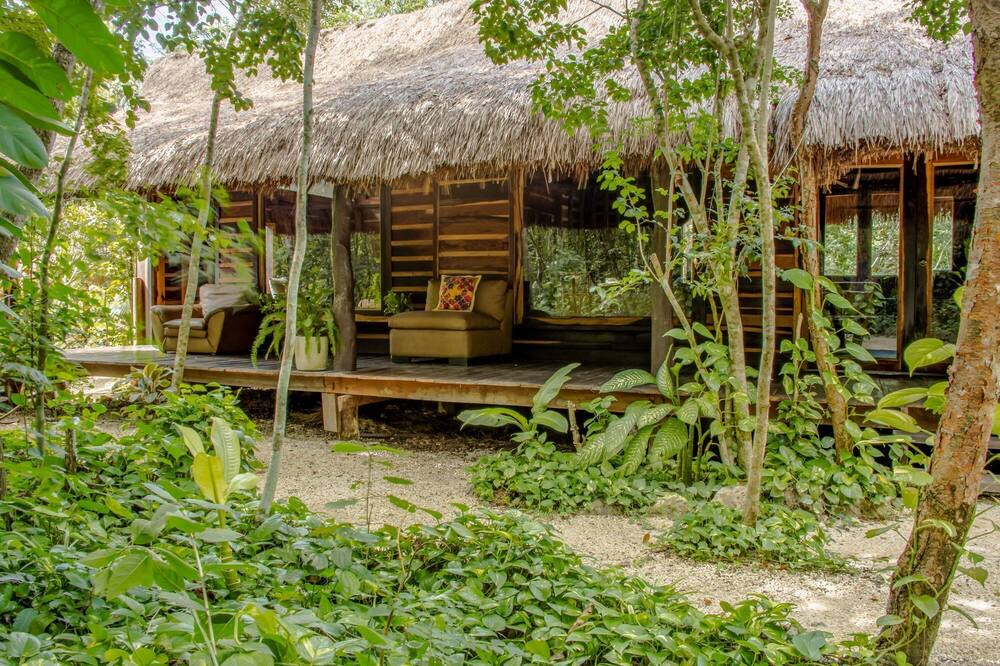 Photo of Outdoor in Leona Vicario