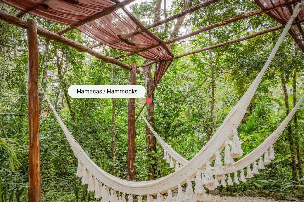 Photo of Outdoor in Leona Vicario
