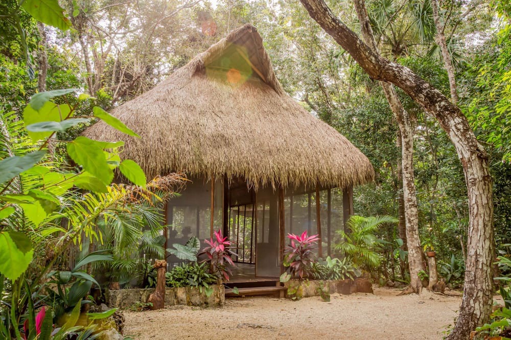 Photo of Outdoor in Leona Vicario