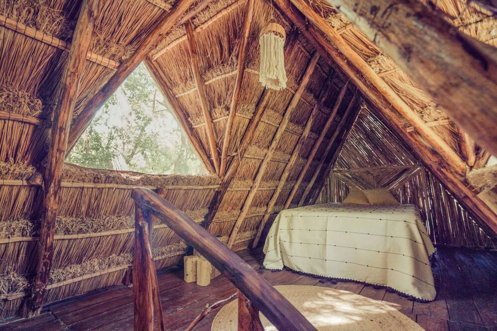 Photo of Bedroom in Leona Vicario