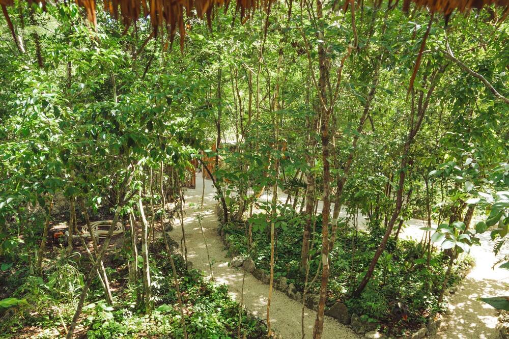 Photo of Outdoor in Leona Vicario