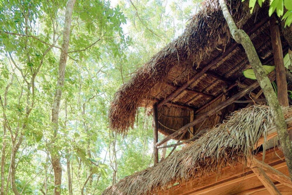 Photo of Outdoor in Leona Vicario