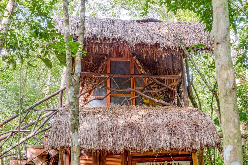 Photo of Outdoor in Leona Vicario