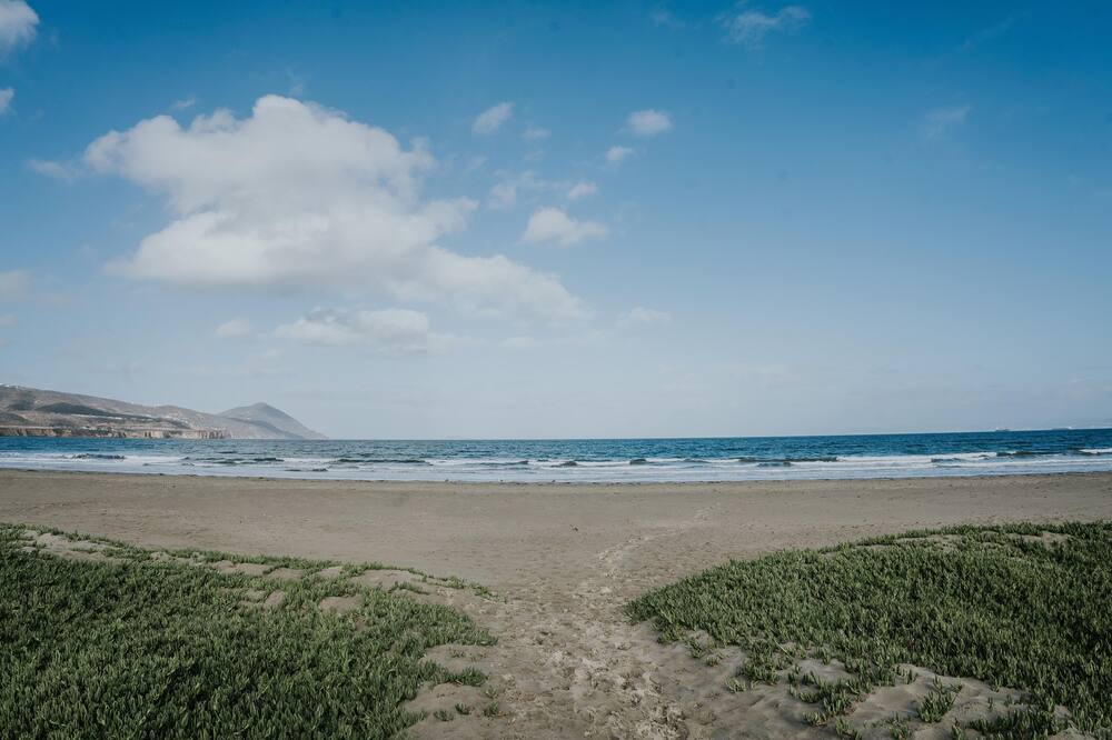 Photo of Others in Lengueta Arenosa