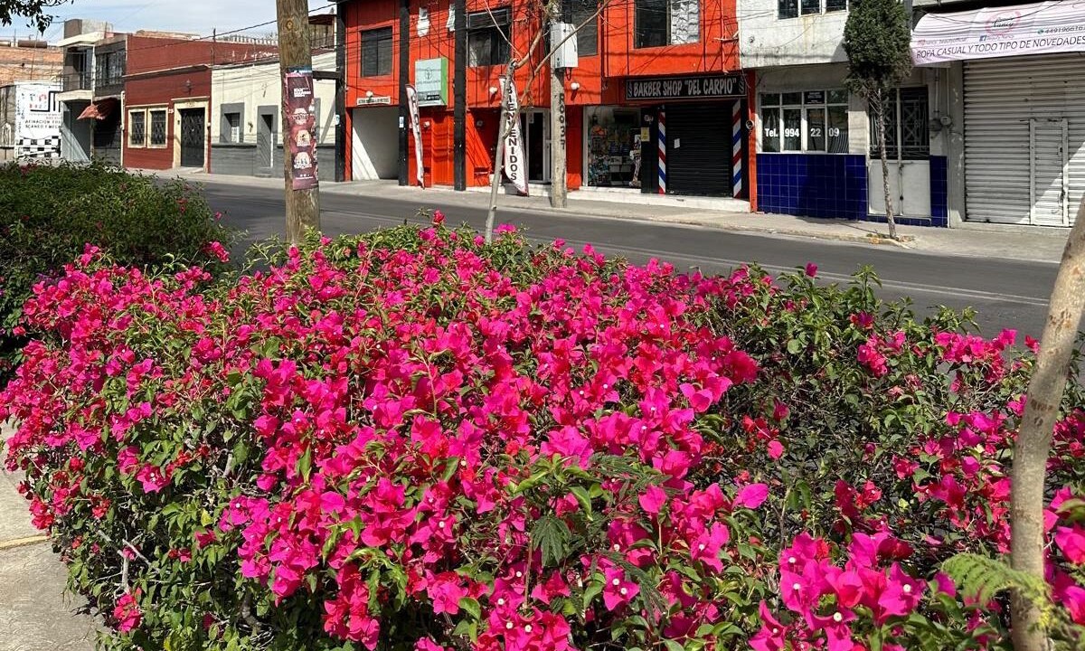 Photo of Outdoor in Aguascalientes