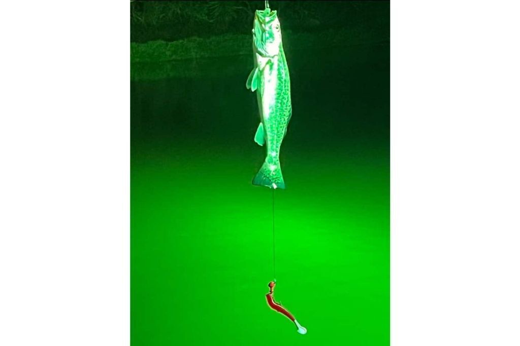 Photo of Others in Sebastian