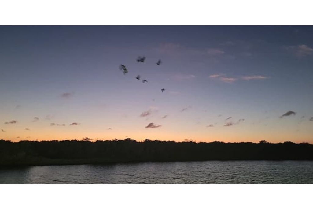 Photo of Outdoor in Sebastian