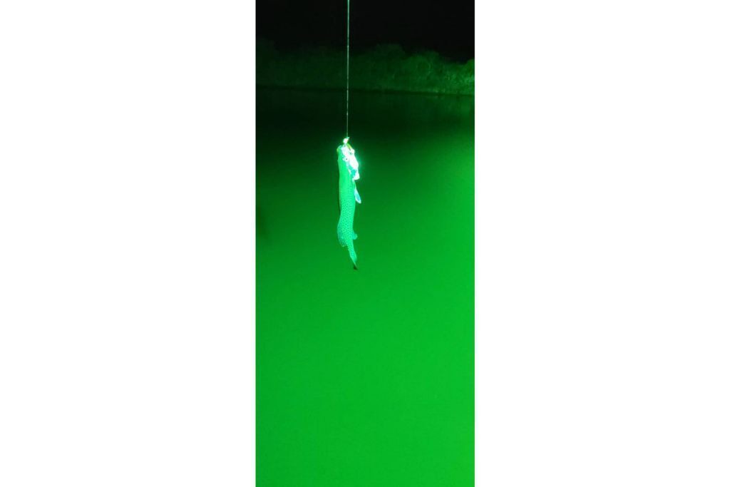 Photo of Others in Sebastian