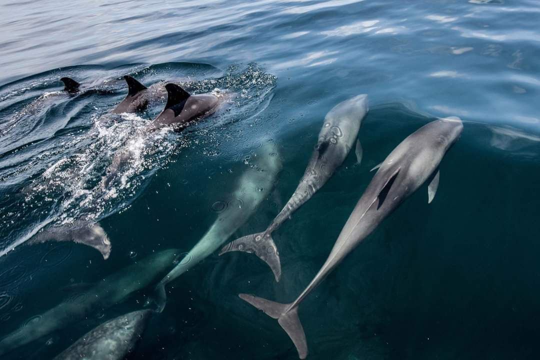 Photo of Others in San Pedro Pochutla
