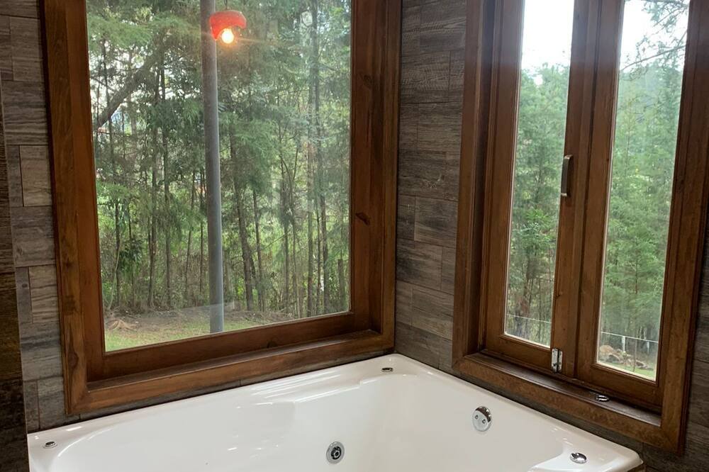 Photo of Bathroom in Mazamitla