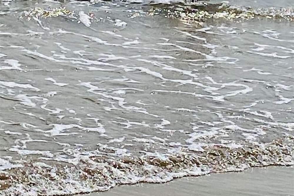 Photo of Others in Laguna Vista