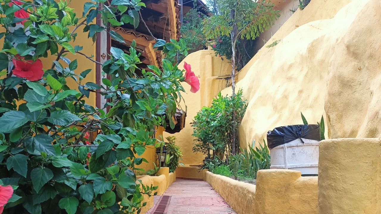Photo of Outdoor in Peninsulas de Santiago