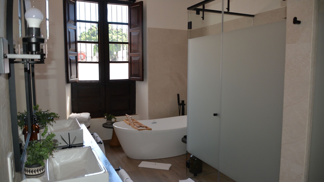 Photo of Bathroom in Mascota
