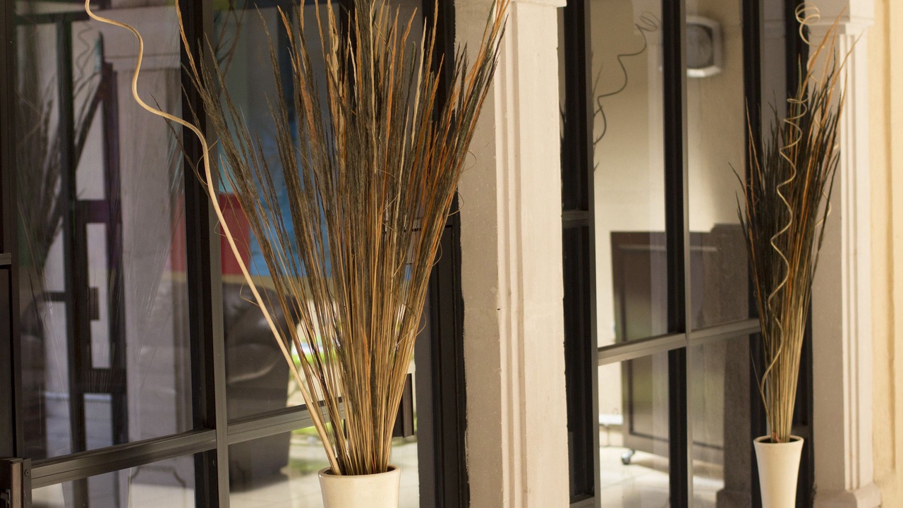 Photo of Patio Balcony in Guadalupe