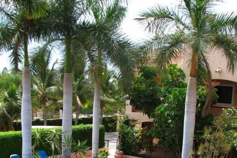 Photo of Outdoor in Los Barriles