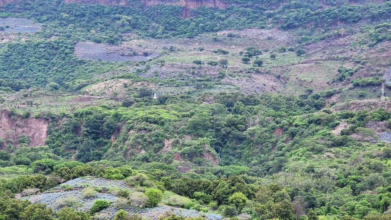 Photo of Outdoor in Tequila