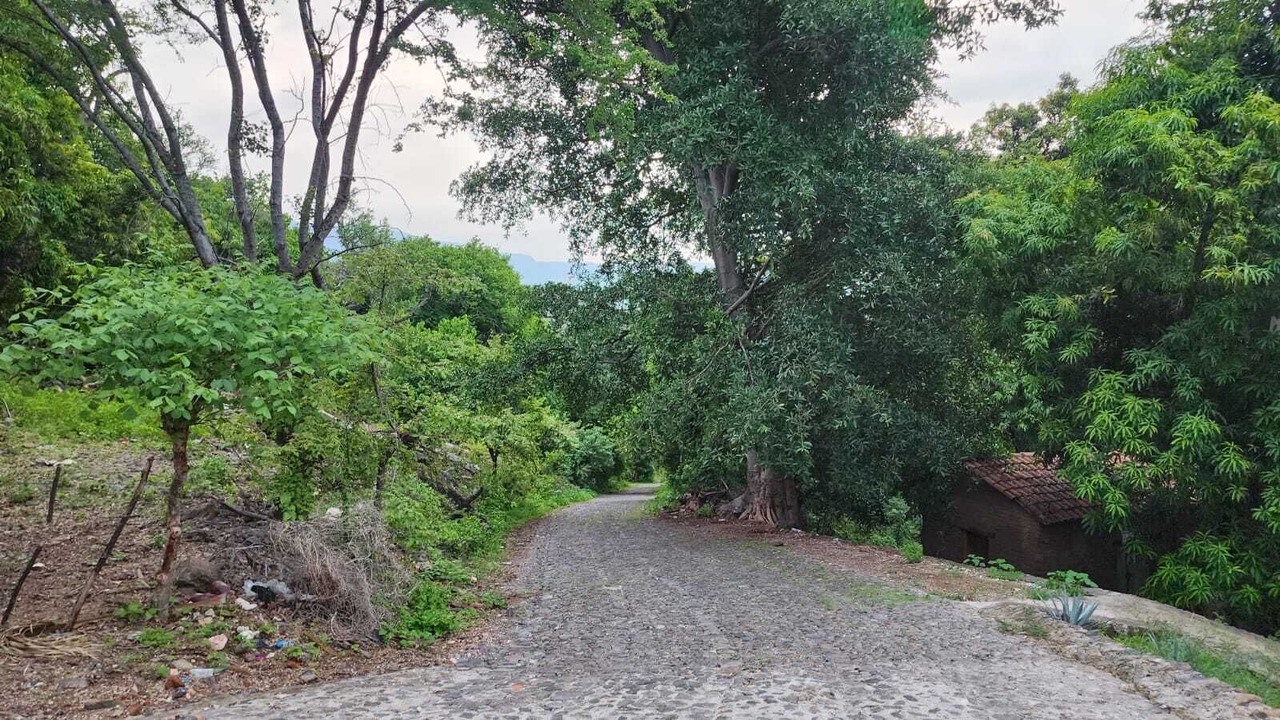 Photo of Outdoor in Tequila