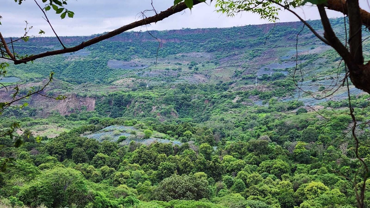 Photo of Outdoor in Tequila