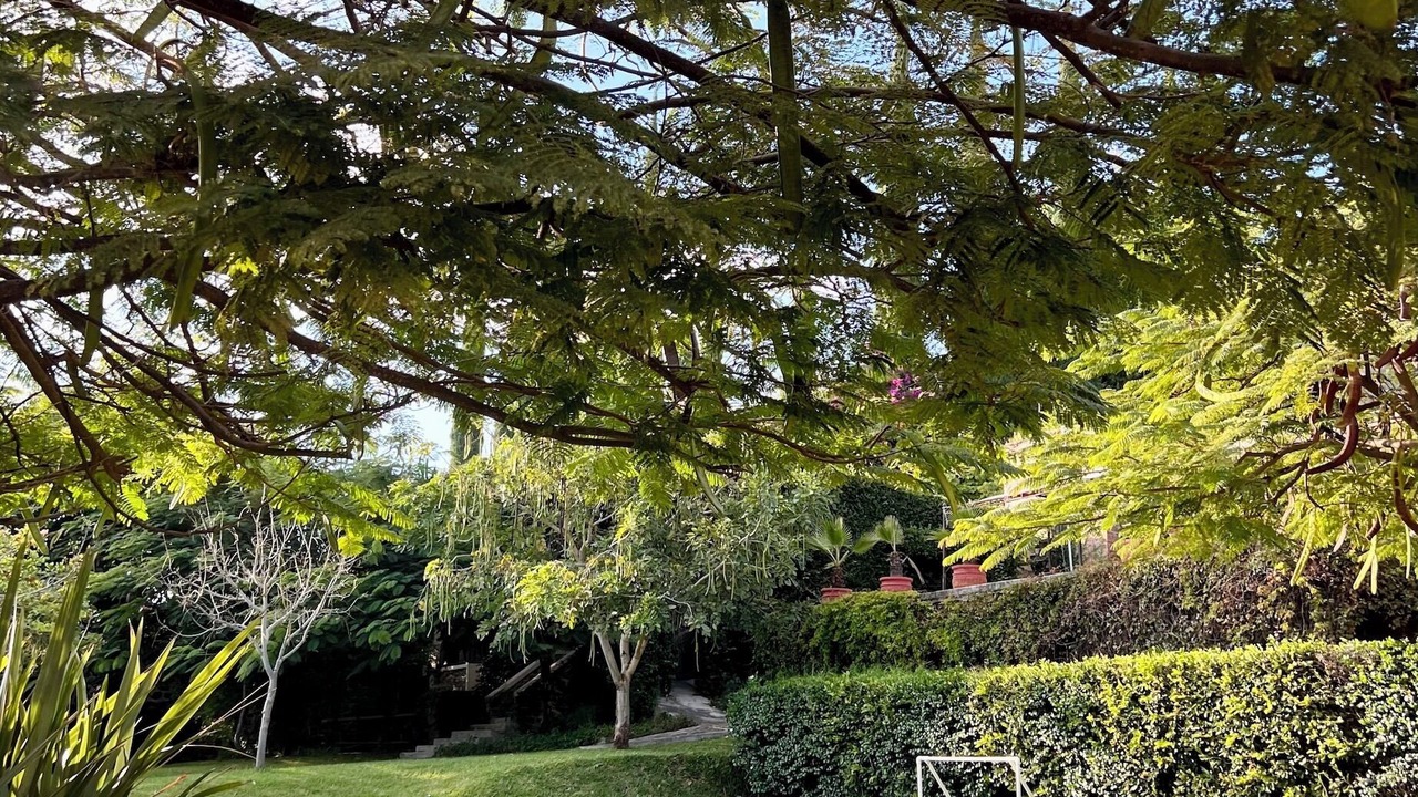 Photo of Outdoor in San Juan Cosala