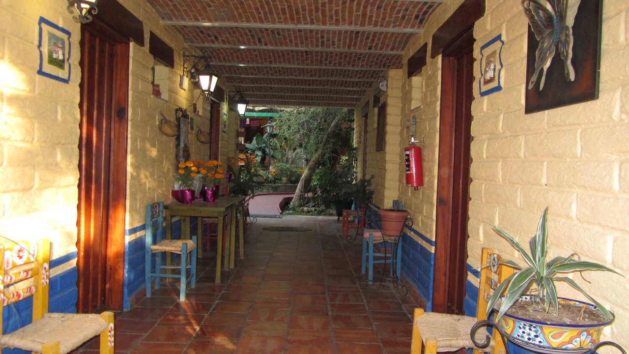 Photo of Others in Guadalajara