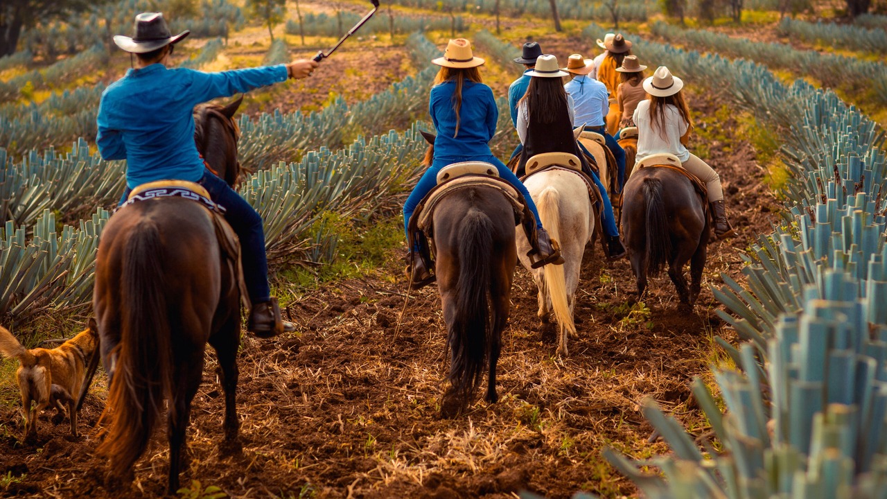 Photo of Outdoor in Tequila