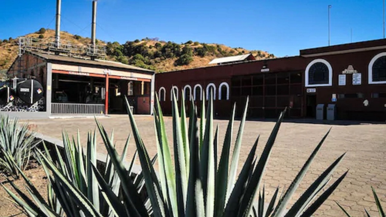 Photo of Outdoor in Tequila