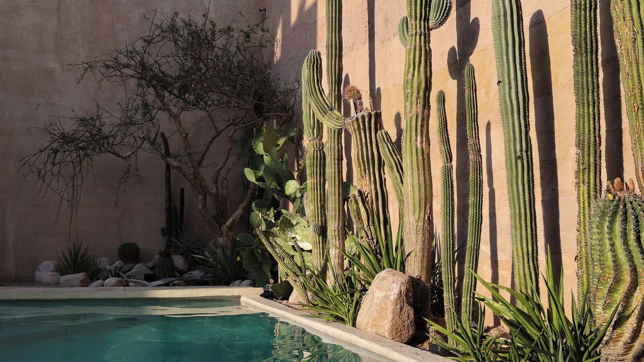 Photo of Outdoor in Esterito